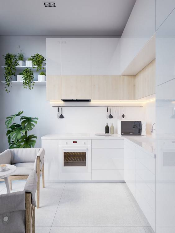 Scandinavian kitchens