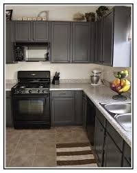 contemporary kitchens with black appliances