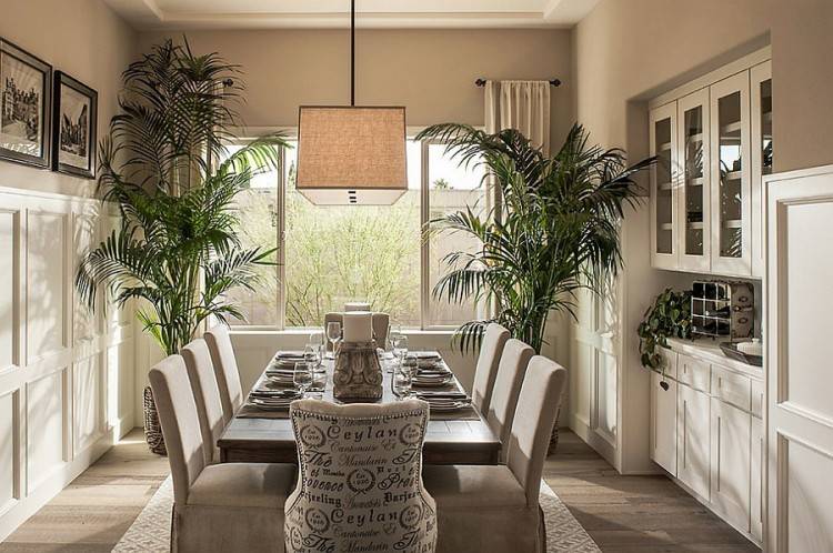 dining room plants ideas