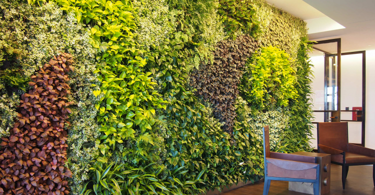 green wall plants artificial living wall decorative indoor plants home garden decking green wall plants philippines