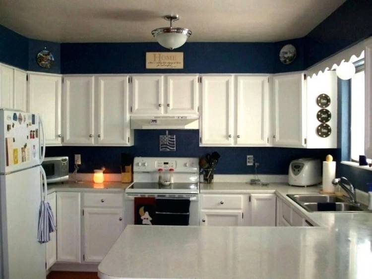 blue and white kitchen