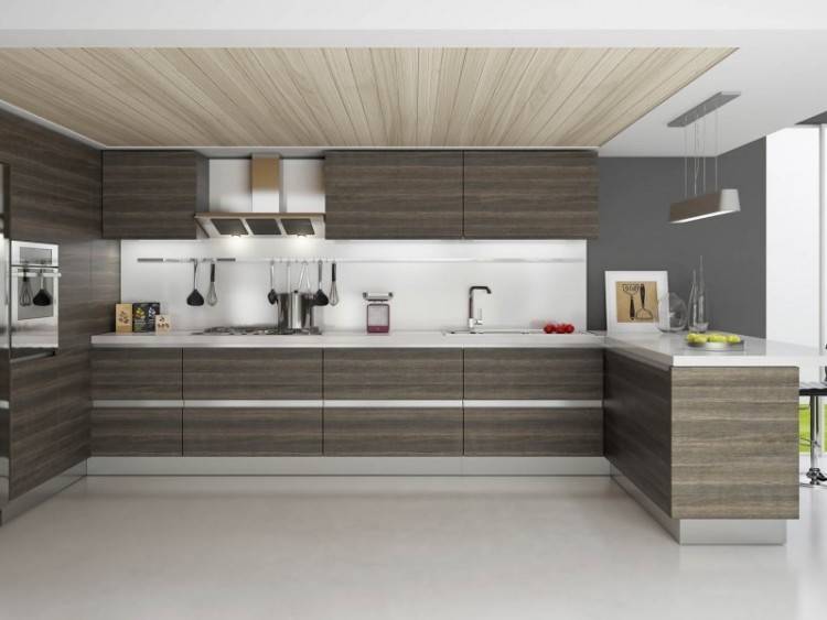 Modular Kitchen Cabinets Usa Luxury Indian Kitchen Designs Gallery Fresh 8 Best New Modular