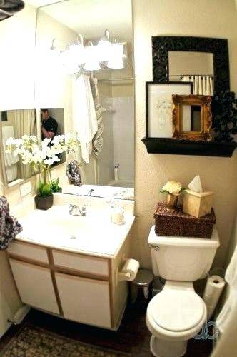 Bathroom Decor Ideas For Apartments Home Interior Design Ideas 2017 Fabulous Small Apt Bathroom Design Ideas