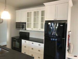 ikea kitchen cabinets