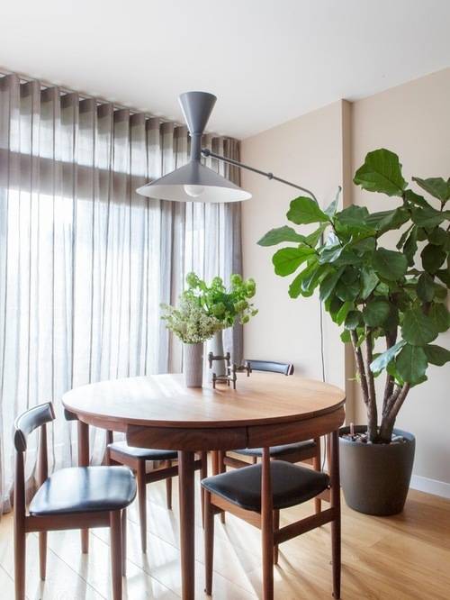 Dining Room Plants Elegant Indoor Plants Home Decor Ideas Planters  Hanging Plants Clean Air