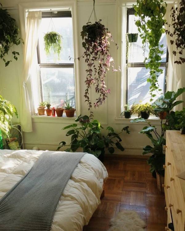 hanging house plants and balcony bedroom