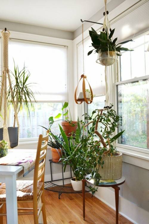 Bring The Outdoors In With Our Favorite Ways To Display House Plants |  Freshome