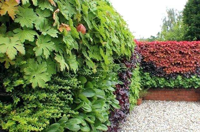 Outdoor Living Walls using the GLTi system (images courtesy of GLTi)