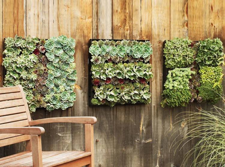 outdoor living wall wall plants outdoor architectural