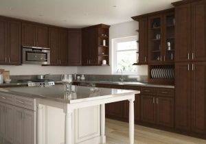 kitchen  cabinets