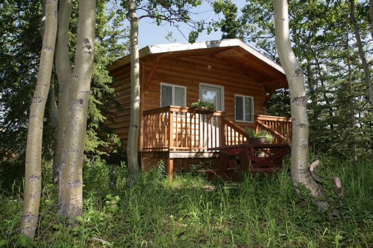 Home Glamping Pods & Cabins Glamping Pods & Cabins Glamping pods without  shower rooms Pods and cabins with shower rooms Garden rooms &  officeFeatures