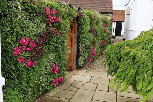 Instant drama is created with an outdoor living wall that can be changed  with the seasons