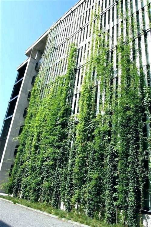 outdoor living wall